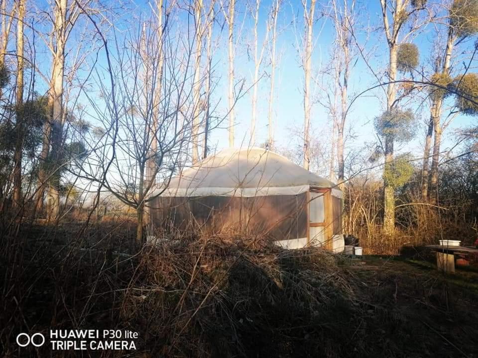 La Yourte Au Fonds Du Jardin Xhoris Luaran gambar
